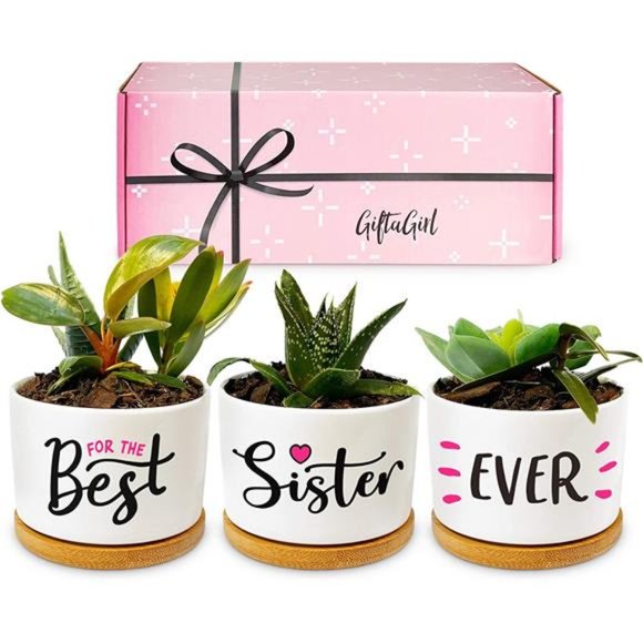 Pretty Sister Gift,Our Best Sister Ever Pots are Beautiful Gifts for Mothers Day - Picture 1 of 6